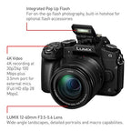 Panasonic LUMIX G85 4K Mirrorless Camera with 25mm Lens