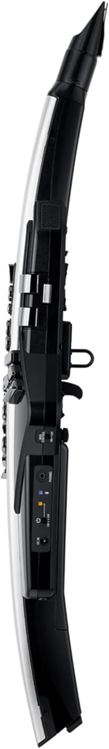 Roland AE-30 Aerophone Pro Digital Saxophone Bundle