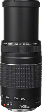 Canon 2000D Rebel T7 DSLR with 18-55mm 75-300mm Lens Bundle Renewed