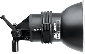 Profoto 900618 Acute2/D4 Black Flash Head