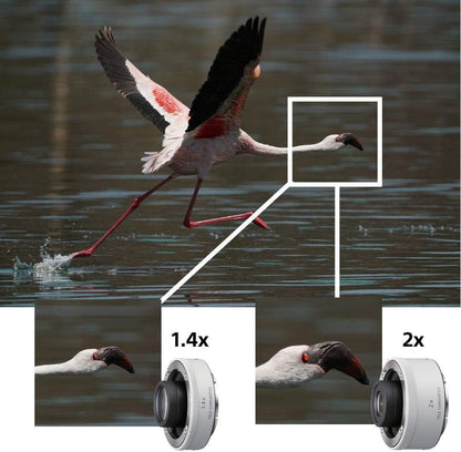 Sony SEL200600G FE 200-600mm f/5.6-6.3 G OSS Lens