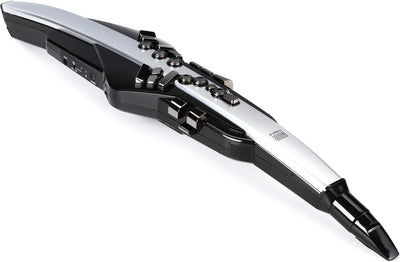 Roland AE-30 Aerophone Pro Digital Wind Instrument