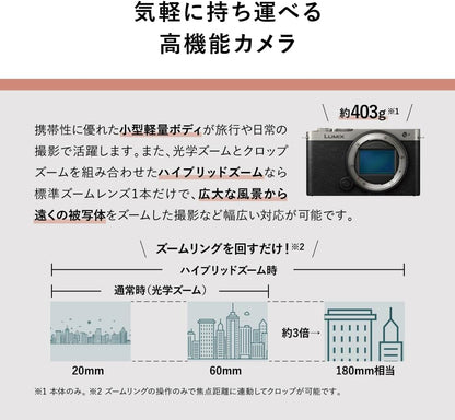 Panasonic DC-S9-S LUMIX S9 Full-Frame Mirrorless Camera (Silver)