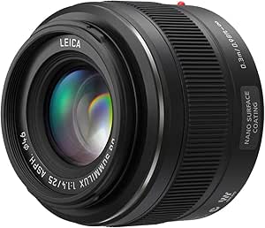 Panasonic H-X025 Lumix G Leica Lens
