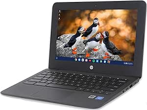HP 11a 1N091UA Chromebook 11.6