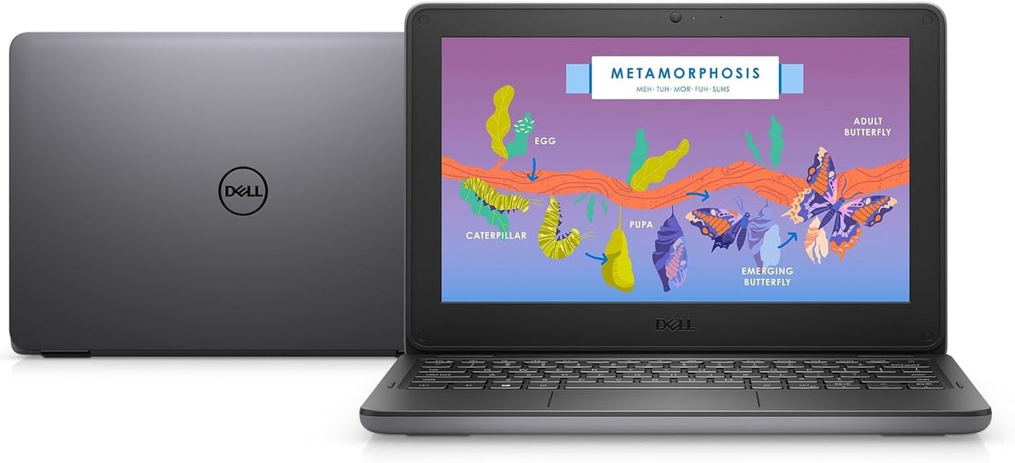 Dell Latitude 3120 2-in-1 N200 Touchscreen Laptop