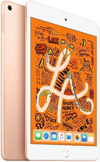 Apple iPad Mini 5 256GB WiFi Gold (Renewed Premium)