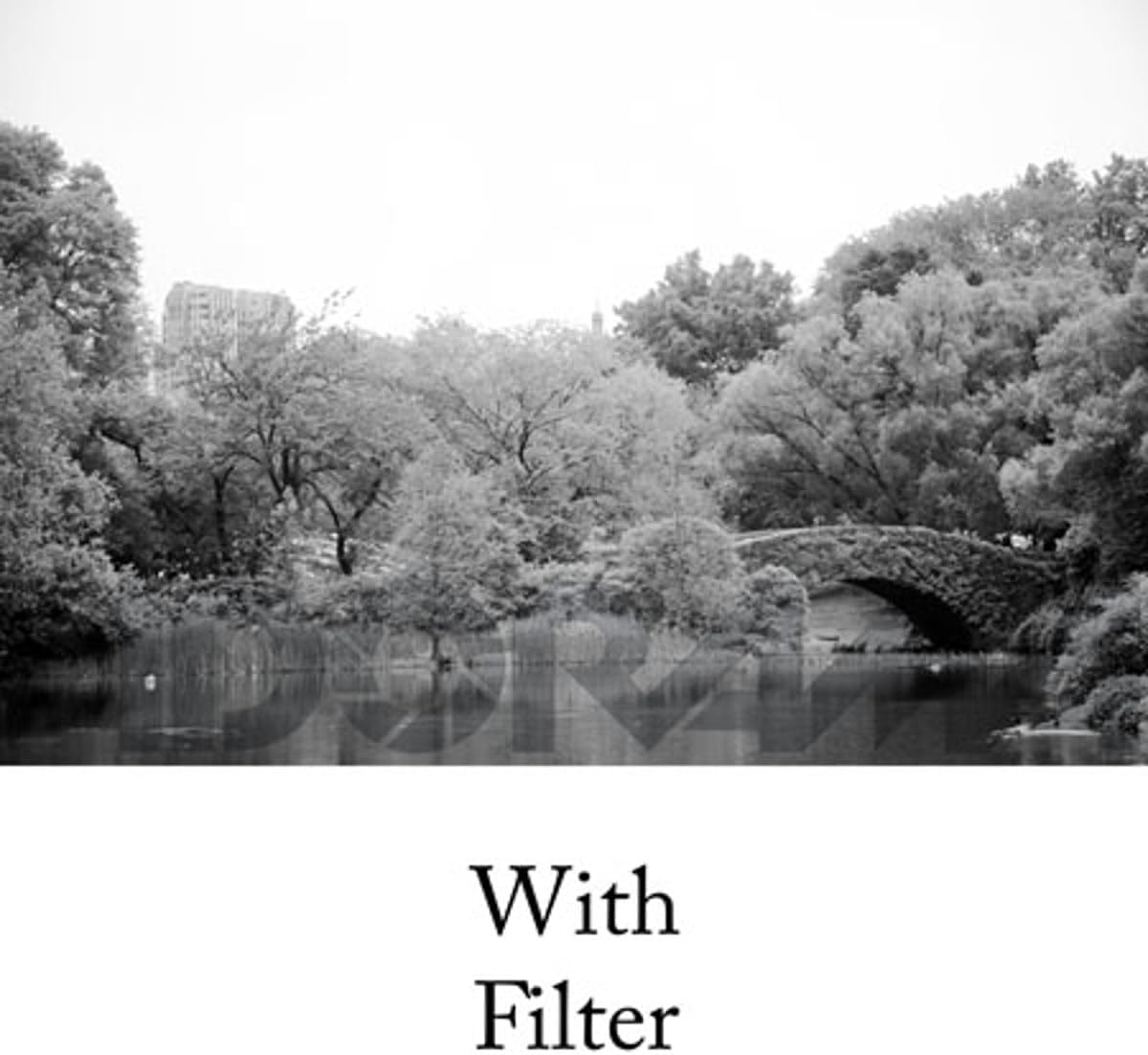 Tiffen 5511G1 55mm #11 Green Filter