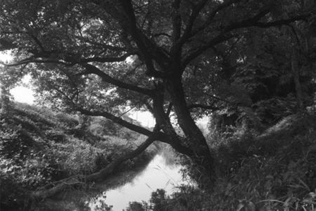 Hoya Y1IR72052 52mm R-72 Infrared Filter