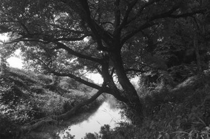 Hoya Y1IR72058 58mm Infrared R72 Filter Photography