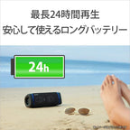 Sony SRS-XB33 BC Wireless Portable Bluetooth Speaker - Black