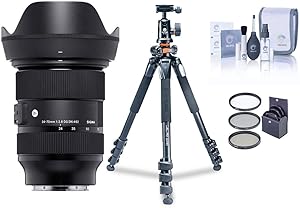 Sigma 24-70mm F2.8 DG DN Art Sony E-Mount Lens