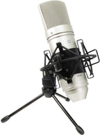 Tascam TM-80 Condenser Microphone - Silver Diaphragm