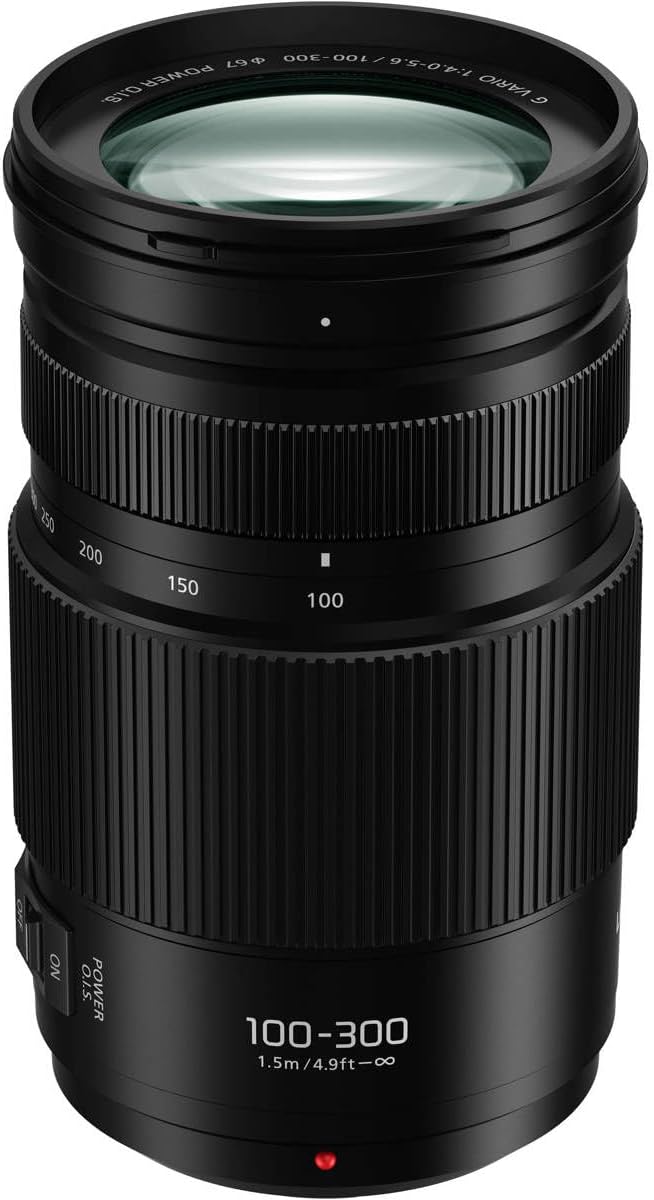 Panasonic H-FSA100300 LUMIX G 100-300mm O.I.S. Lens