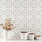 MSI AMZ-PT-00161 Elora 8x8 Encaustic Porcelain Tile