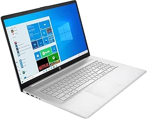 HP 17-cp1124od 17.3" Ryzen 3 8GB 256GB SSD Laptop