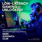 Crucial CP2K16G60C36U5W 32GB DDR5 6000MHz Gaming RAM