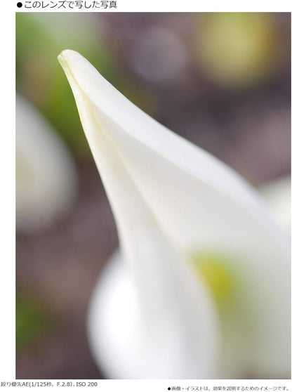 Panasonic H-HS030 Lumix G 30mm Macro Lens