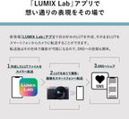 Panasonic DC-S9-S LUMIX S9 Full-Frame Mirrorless Camera (Silver)