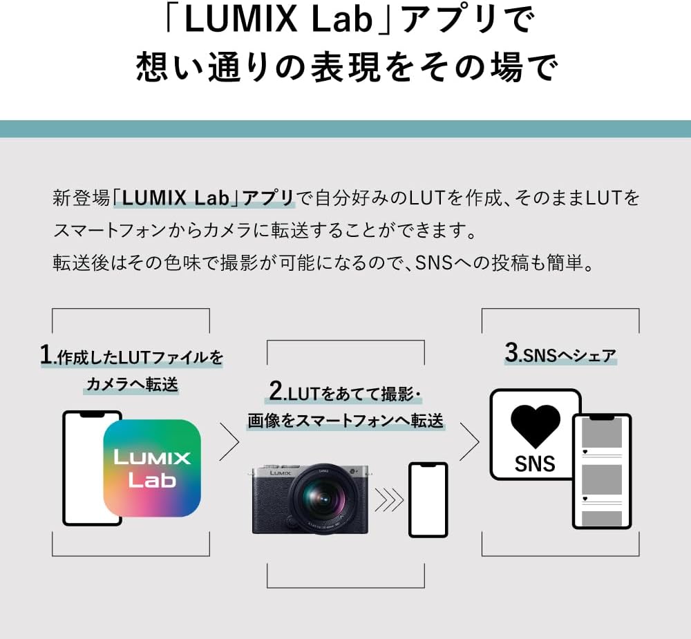 Panasonic DC-S9-S LUMIX S9 Full-Frame Mirrorless Camera (Silver)