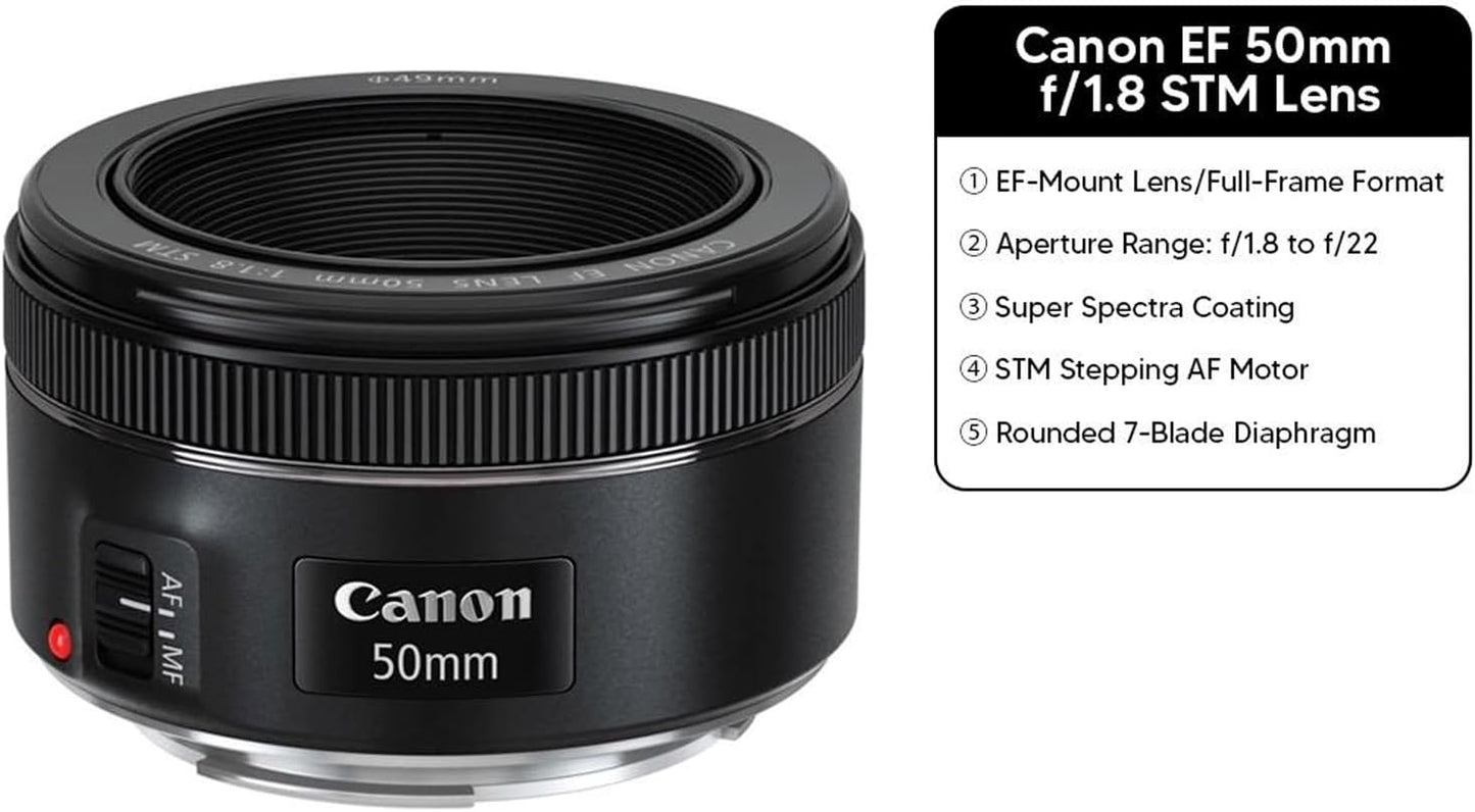 Canon EOS 6D Mark II DSLR Lens Bundle (Renewed)