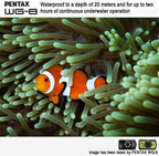 Pentax 01492 WG-8 Black Waterproof Adventure Camera