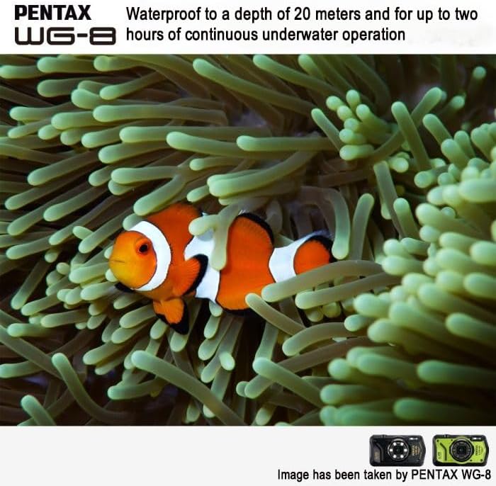 Pentax 01492 WG-8 Black Waterproof Adventure Camera