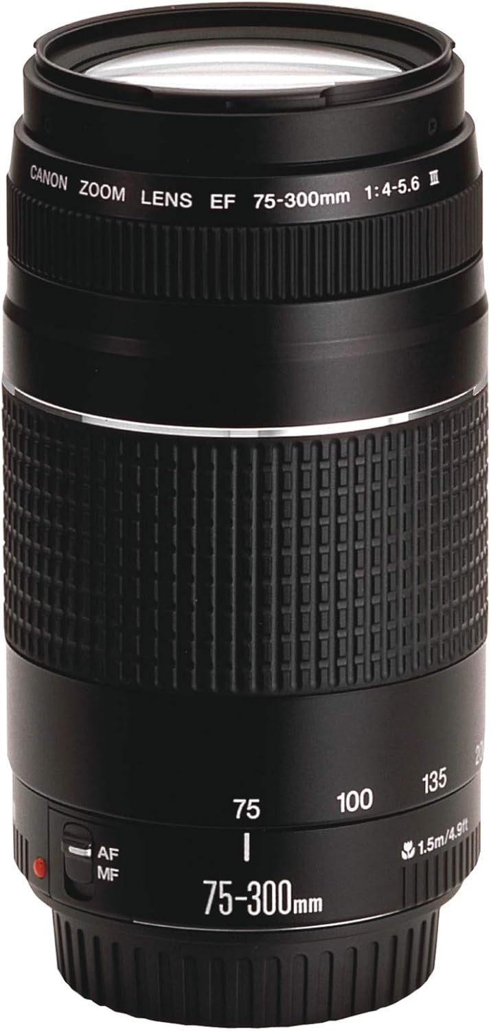 Canon T7 EOS Rebel Kit 18-55mm 75-300mm Lens