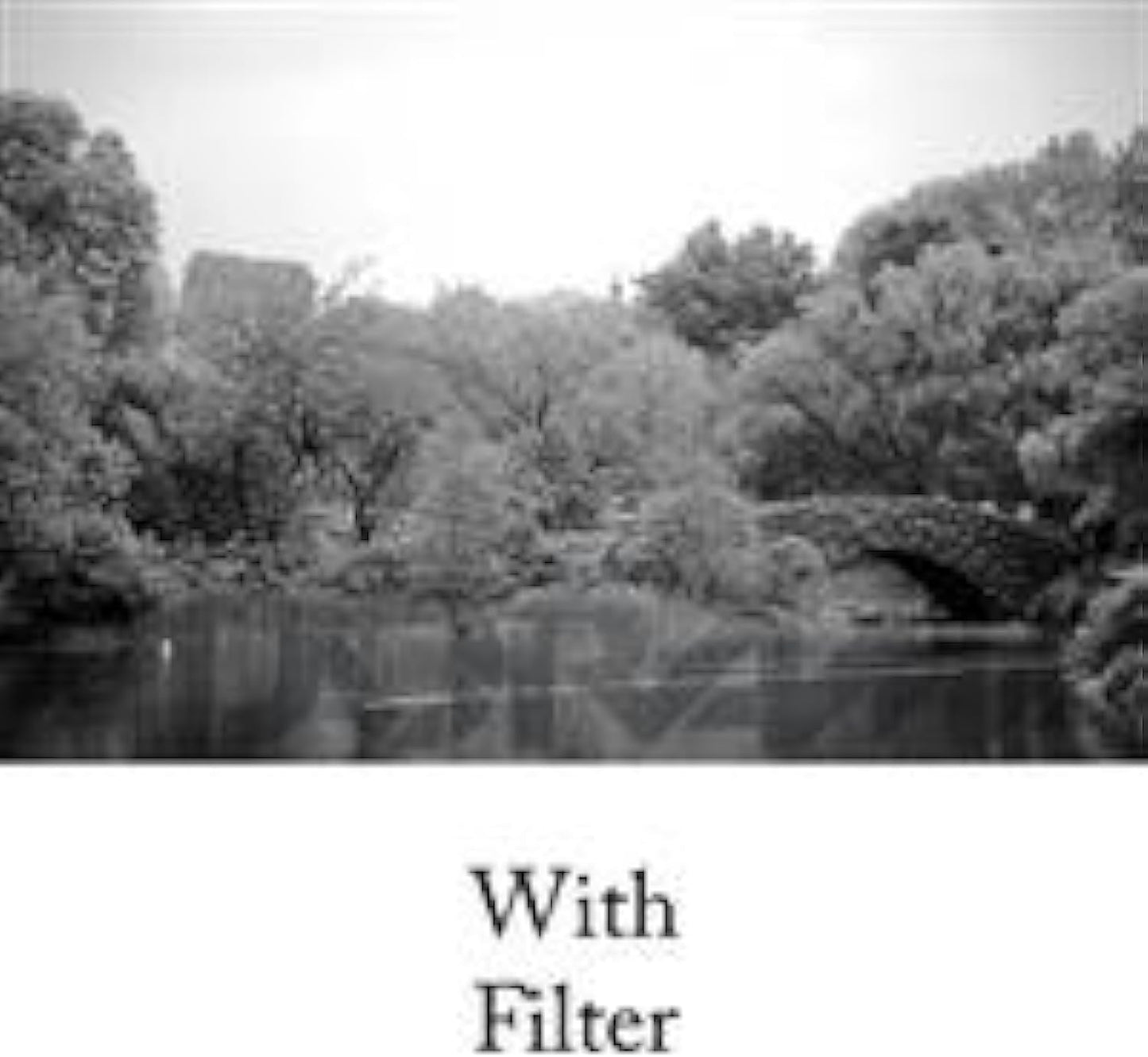 Tiffen 62OR21 62mm #21 Orange Filter