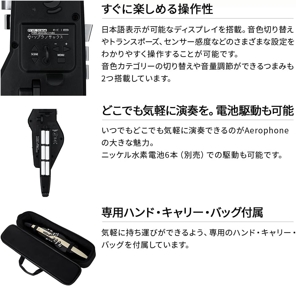 Roland AE-20 Aerophone Digital Wind Instrument Black
