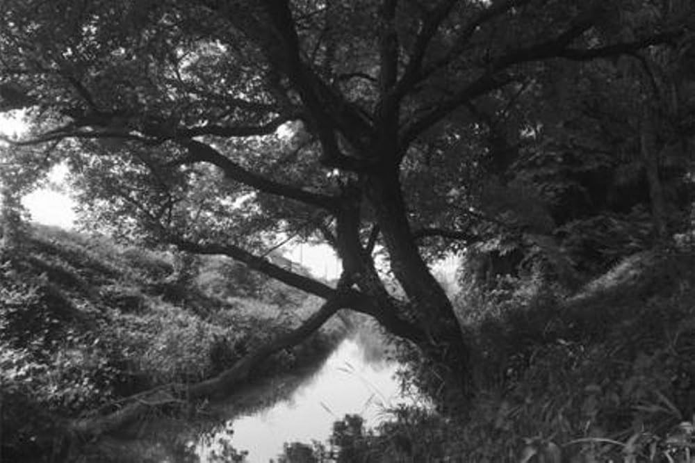 Hoya FBA_Y1IR72082 82mm R72 Infrared Filter