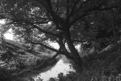 Hoya FBA_Y1IR72082 82mm R72 Infrared Filter