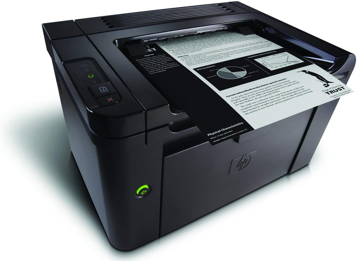 HP P1600 LaserJet Pro P1606DN - Monochrome Printer - Renewed