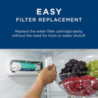 GE RPWFE2PK Refrigerator Water Filter, 2-Pack