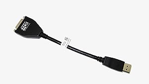 Dell FBA_023NVR DisplayPort to DVI Adapter — main product image