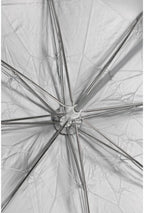 Westcott 2002 43-Inch Soft Silver Collapsible Umbrella