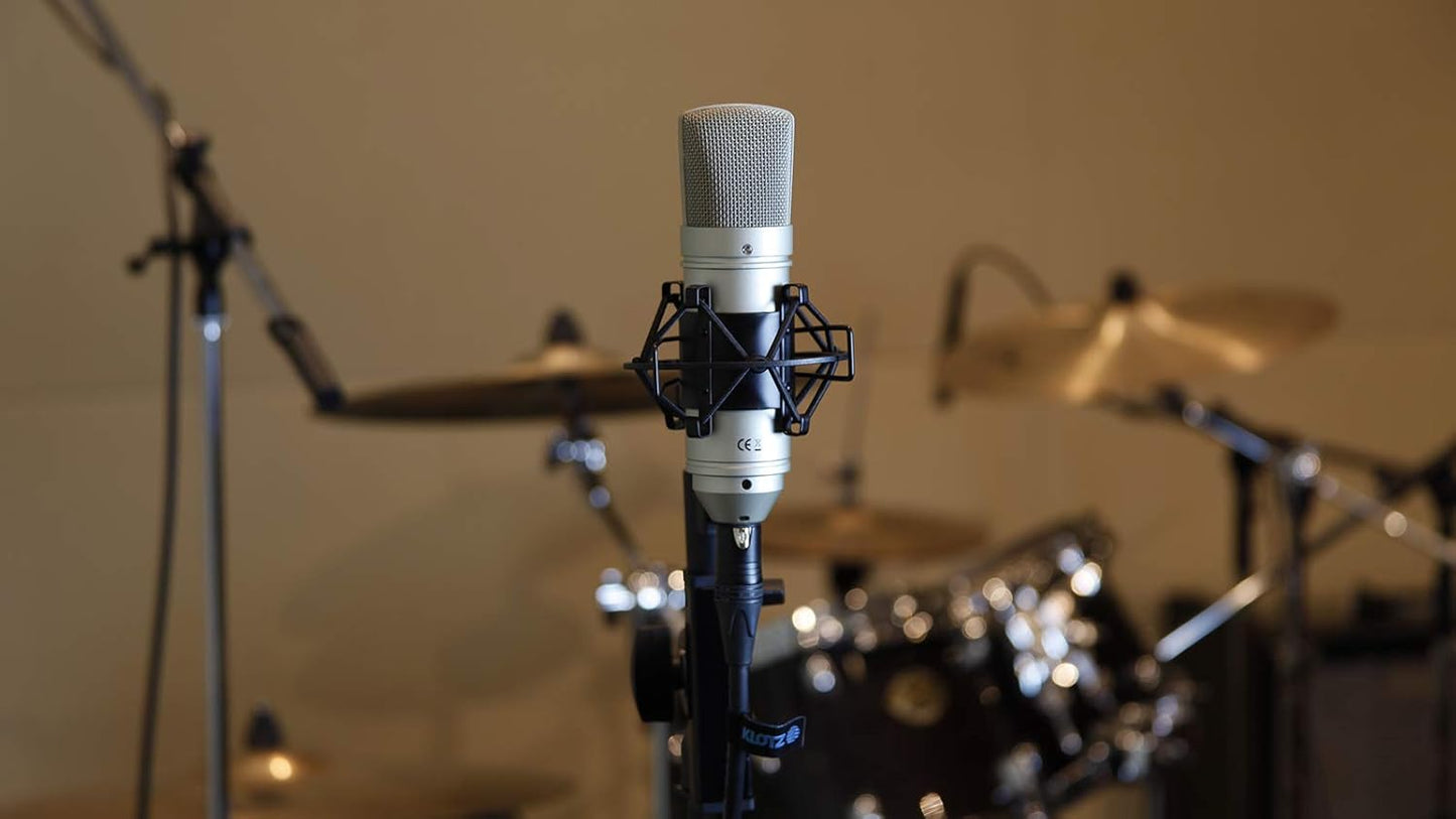 Tascam TM-80 Studio Condenser Microphone Silver