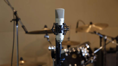Tascam TM-80 Studio Condenser Microphone Silver