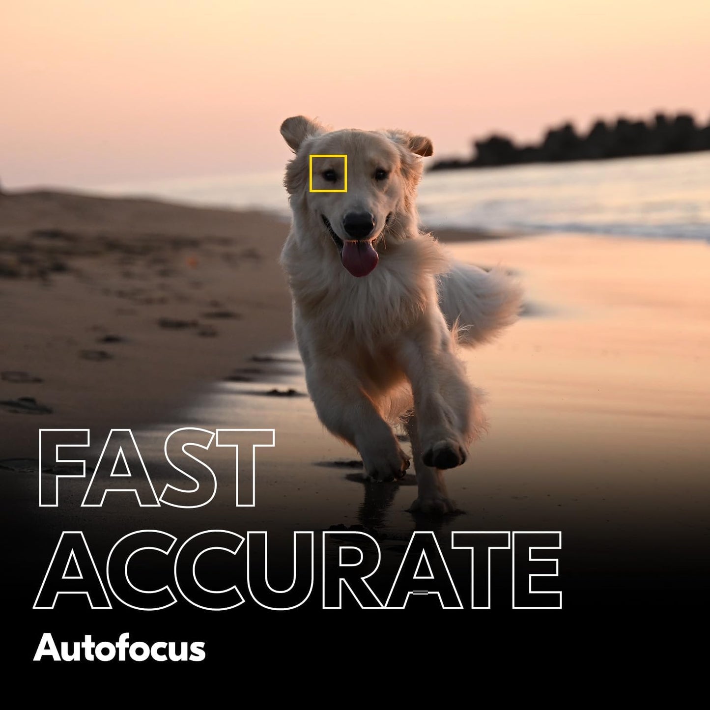 Nikon Z f Full-Frame Mirrorless Camera Renewed