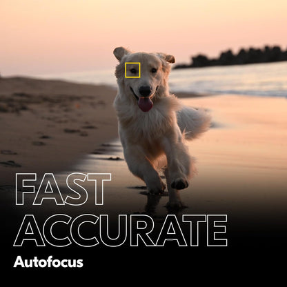 Nikon Z f FX 40mm f/2 Lens Full-Frame Camera