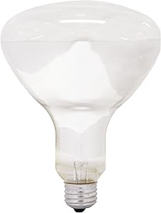 GE Lighting 21229 300-Watt R40 Reflector Light Bulb