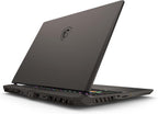 MSI VECTOR16HX14246 16