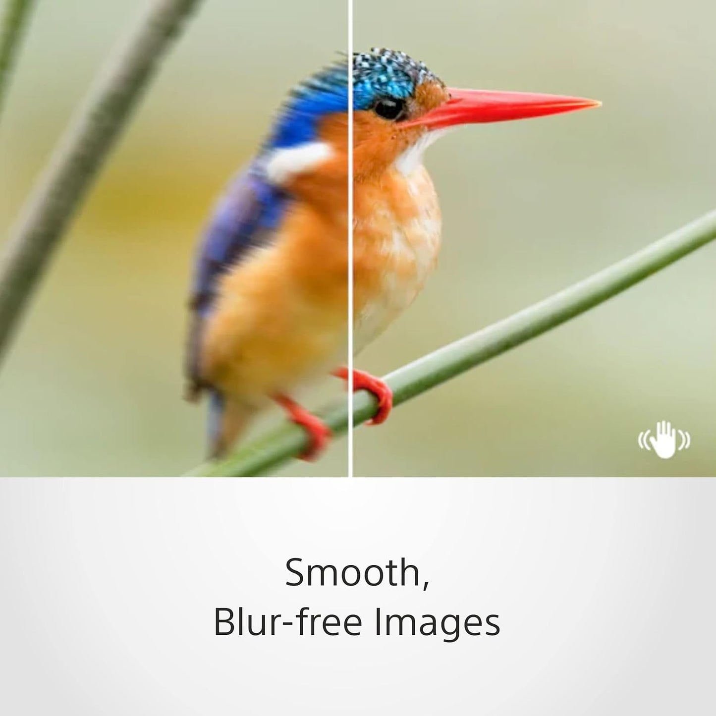 Sony SEL35F18 35mm f/1.8 Prime Lens - E-Mount