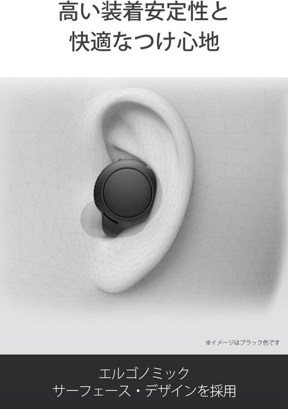 Sony WF-C500 BZ Truly Wireless Earbuds Black
