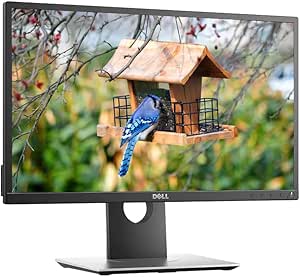 Dell P2017H 20-Inch LED Monitor Renewed