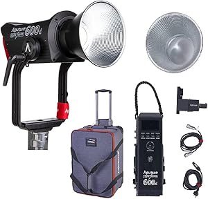 Aputure LS 600D Daylight LED Video Light — main product image