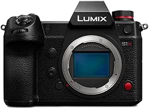 Panasonic DC-S1H Full-Frame Mirrorless Camera - 6K Video