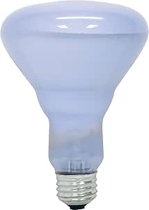 GE 87904 Traditional Lighting Incandescent Reflector Bulb