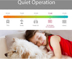 LG LW6017R 6000 BTU Window Air Conditioner