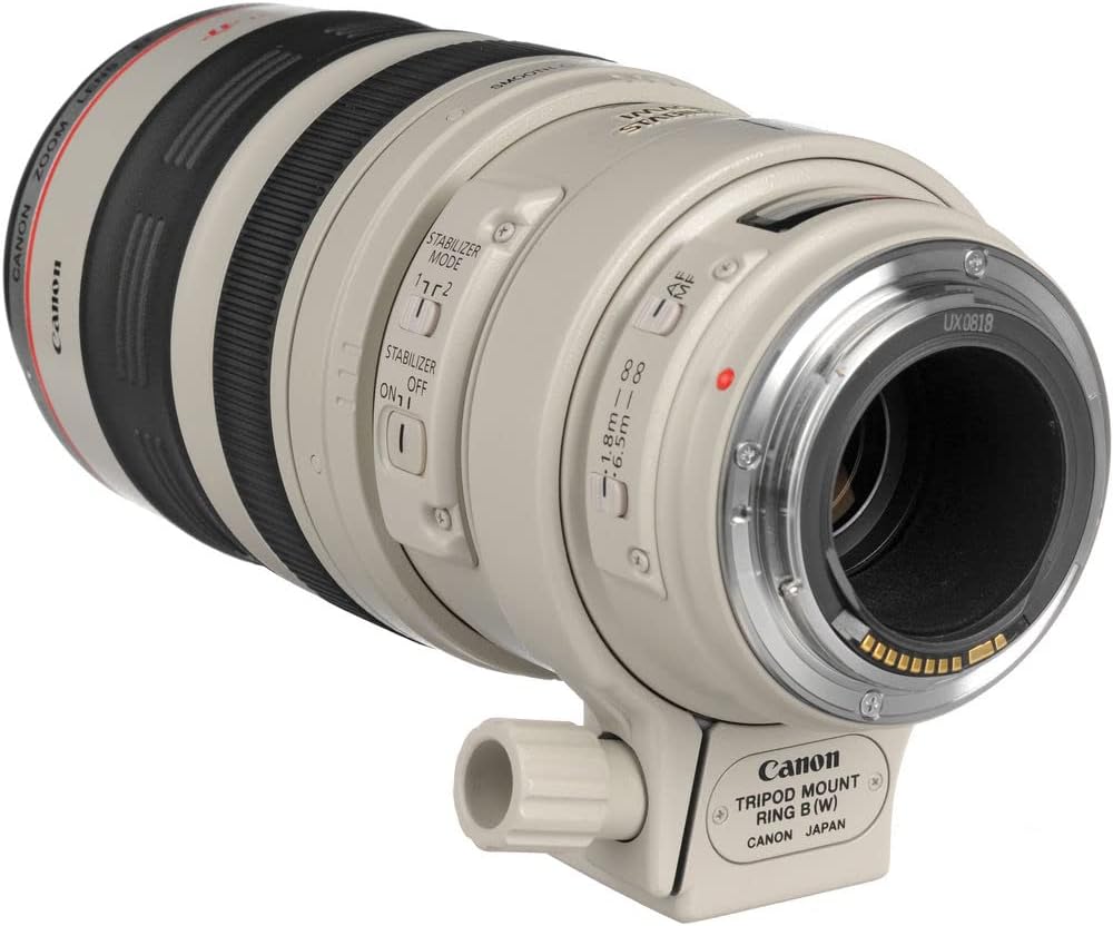 Canon 2577A002 EF 100-400mm f/4.5-5.6L IS USM Telephoto Zoom Lens